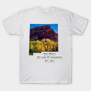 New Mexico USA T-Shirt